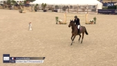 Vincent Bartin / Twitter Vanet#039;T Prinsenveld Z