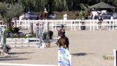 Gisela LARSSON / The Kleine Nieuwe Brand’S Bricklin