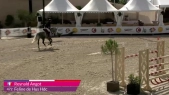 Reynald angot - feline de hus hdc  - wednesday class 2 1