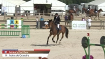 Amaury Perilhou / Ivoire de Grandry