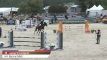 Josephine Dignat / Halvar Mail