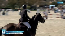 Jerome Debas Montagner / Crackboy de Peyraud