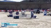 Mandy Hays / Fargo du Buhot