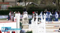 Frederique Fabre Delbos / Too Wicked Sdw Z