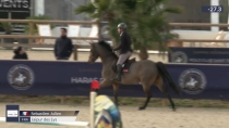 Sebastien Julien / Jaipur des Lys
