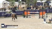 Ilona Mezzadri / Diamondet#039;s Dream