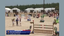 Pierrick Goudelouf / Cookie des Forets