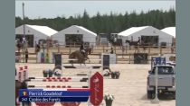 Pierrick Goudelouf / Cookie des Forets