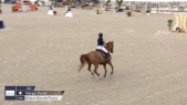 Margot Portal / Binkaet#039;s Boy de Florys
