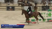 Jerome Debas Montagner - Gold De Morel
