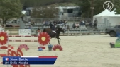 Simon Barthe / Delia Mouche