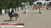 Olivier Perreau / Game Changer Aiguilly
