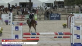 Camilla Vittadini / Hollystar de Grandry