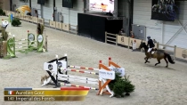 Aurelien Gout / Imperial des Forets