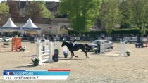 Alizee Morel / Lord Florentin Z