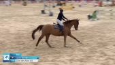 Laura Terrier / Diorr des Ailes AA