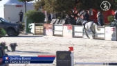 Geoffroy Bouret / Epona de Kezeg