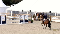Geoffroy Lecomte Lievaux / Firstlulu det#039;Aubigny