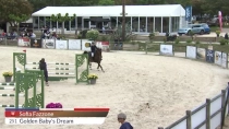 Sofia Fazzone / Golden Babyet#039;s Dream