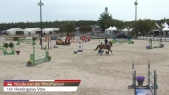 Nicolo van der Westhuizen / Hemingway Vdw
