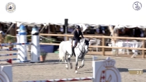 Marie Fleischel / Iris de let#039;Oiseliere