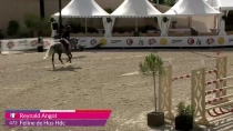 Reynald angot - feline de hus hdc  - wednesday class 2 1