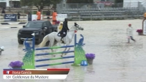 Ilona Garcia / Goldeneye du Mystere