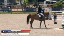 Geoffroy Bouret / Clubber des Forets