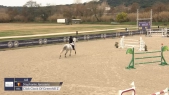 Stephanie Janssens / Click Clock Of Greenhill Z