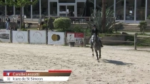 Camille Lenzotti / Icare de St Simeon