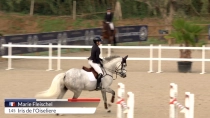 Marie Fleischel / Iris de let#039;Oiseliere