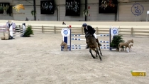 Aurelien Gout / Imperial des Forets