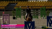 Pierre alin mortier - euphory des forets  - wednesday class 2 1