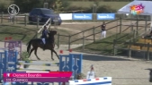 101-Clement_Bourdin-Guanaco-1