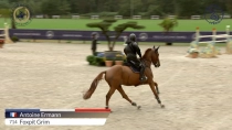 Antoine Ermann / Foxpit Grim
