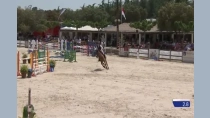 Sebastien Planchat / Gold de l Auxence