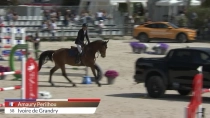 Amaury Perilhou / Ivoire de Grandry