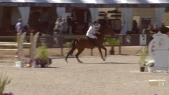 Marine Tournier / Geniale Whizz