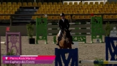 Pierre alin mortier - euphory des forets  - wednesday class 2 1